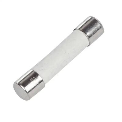 Cartridge Axial Leaded 500V 30A 6.3x32 Keramik Microwave Fuse